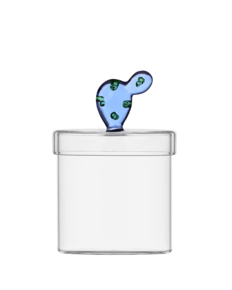 Box Cactus Blue