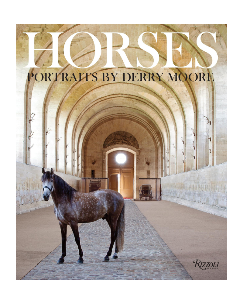 Horses: Portraits by Derry Moore